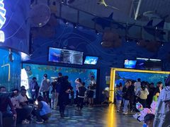 -烟台海昌鲸鲨海洋公园