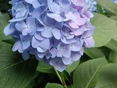 -常州古运河南大街文化旅游区-人民公园