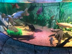 -沈阳海洋探索中心