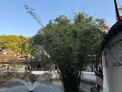 -上海醉白池公园
