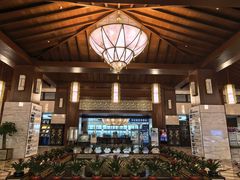 -宜春明月山维景国际温泉度假酒店