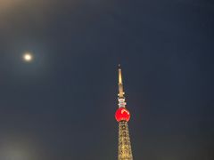 -文华公园(禅城区)
