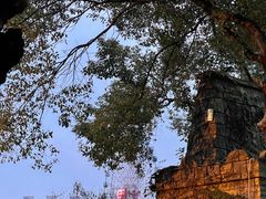 -南湖梦幻岛