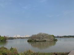 -海珠湖公园