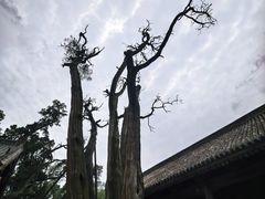 -韩城古城