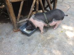 -五邑人家(江门店)