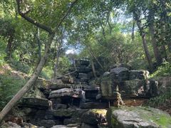 -桃花岭景区