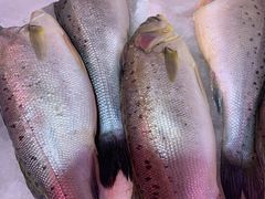 -芦潮港集贸市场