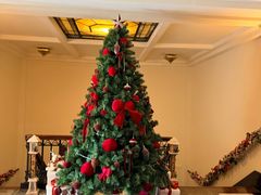 -上海和平饭店龙凤厅 Dragon Phoenix