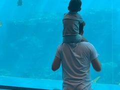 -瑞德姆美人鱼海底演艺主题餐厅(亚龙湾店)