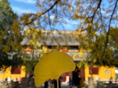 -西园戒幢律寺