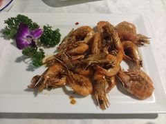 -云中小雅