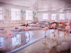 -哈尔滨北方森林动物园