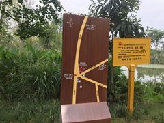 -白鹭湾湿地公园