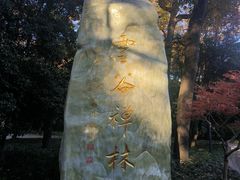 -灵谷景区