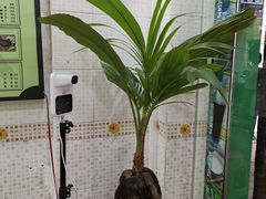 -玉椰林甜品店(创始店)