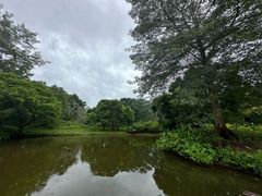-中国科学院西双版纳热带植物园
