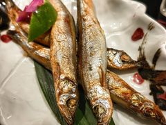 -松鹤精致料理(五一中路店)