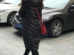 -伊人锅·魔石泡泡鱼