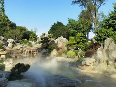 -东莞植物园