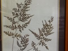 -广东中医药博物馆