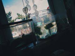 -亲昵春川鸡排(韩国美食街店)