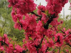 -白塘生态植物园