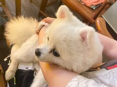 -伽利略剧本探案馆(国贸店)