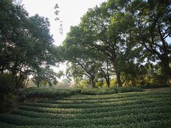 -西湖风景区十里琅珰-五云山