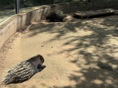 -青藏高原野生动物园