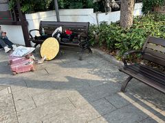 -荔湾湖公园