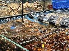 -徐记海鲜(大明宫|北二环店)