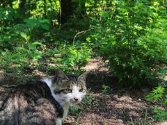 -北京西山国家森林公园