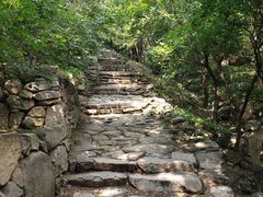 -北京鹫峰国家森林公园