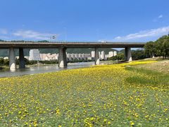 -永定河休闲森林公园