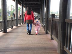 -枫香湖儿童公园