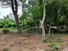 -南京市无想山景区