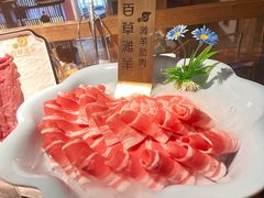 -百草滩羊清水涮羊肉(长城路店)