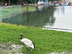 -南宁南湖公园