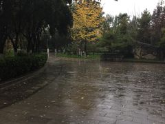 -莲湖公园