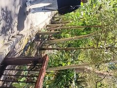-可伦宾野生动物保护区
