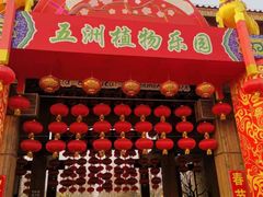-南宫五洲植物乐园