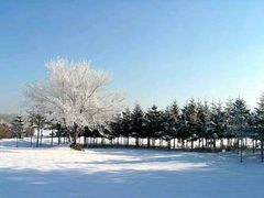 -北极村旅游风景区