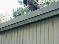 -北京麋鹿生态实验中心