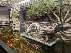 -文儒九号·闽菜馆(三坊七巷店)