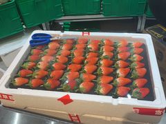 -禾斗海鲜自助(市北诺德店)