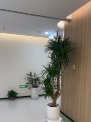 -苏州维多利亚美容医院