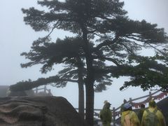 -康泰盲人按摩推拿(金桥胶东路店)