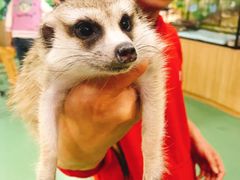 -藦茜花园宠物主题亲子互动体验馆(国顺东路店)