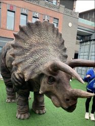 -恐龙探索乐园(磁器口店)